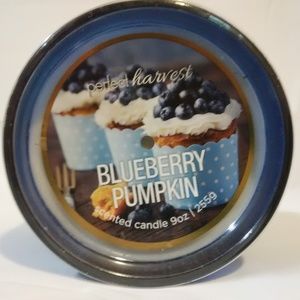Blueberry Pumpkin 9 oz jar scented candle new